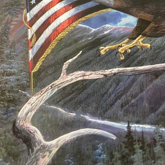 🦅🇺🇸AMERICAN EAGLE & FLAG PUZZLE  🇺🇸 500 PIECES, MADE IN USA 🇺🇸 R.MANNING - Picture 5 of 7